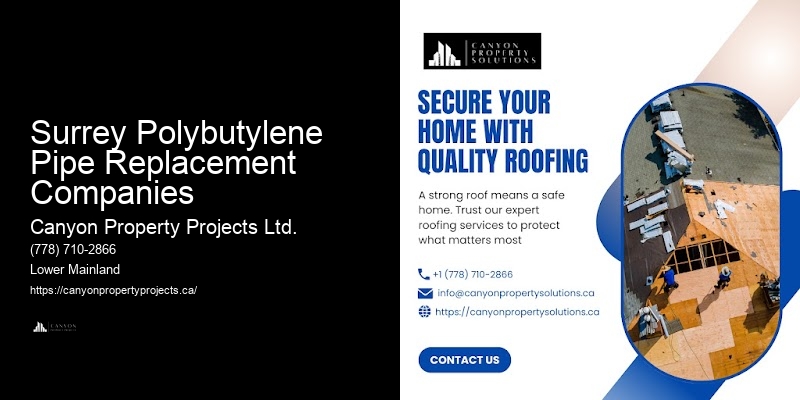 Polybutylene Pipe Issues Fixed Surrey Polybutylene Pipe Replacement Companies
