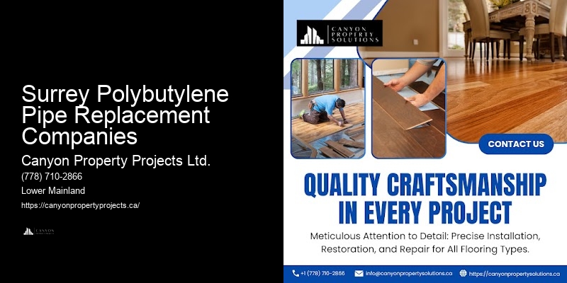 Surrey Polybutylene Pipe Replacement Companies Polybutylene Pipe Replacement Project Management