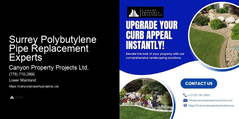Polybutylene Pipe Replacement Solutions Surrey Polybutylene Pipe Replacement Experts