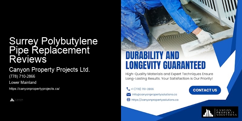 Polybutylene Pipe Problem Solvers Surrey Polybutylene Pipe Replacement Reviews