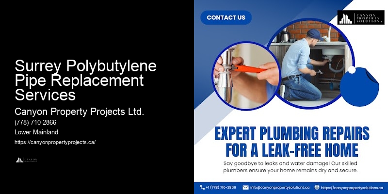 Surrey Polybutylene Pipe Replacement Services Polybutylene Pipe Replacement Services