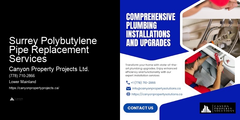 Polybutylene Plumbing for Home Renovations Surrey Polybutylene Pipe Replacement Services