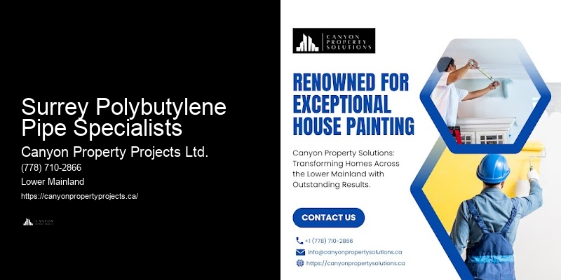 Polybutylene Plumbing Repair Surrey Polybutylene Pipe Specialists