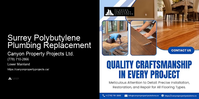 Polybutylene Plumbing Evaluation Surrey Polybutylene Plumbing Replacement