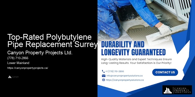 Polybutylene Pipe Plumbing Issues Top-Rated Polybutylene Pipe Replacement Surrey
