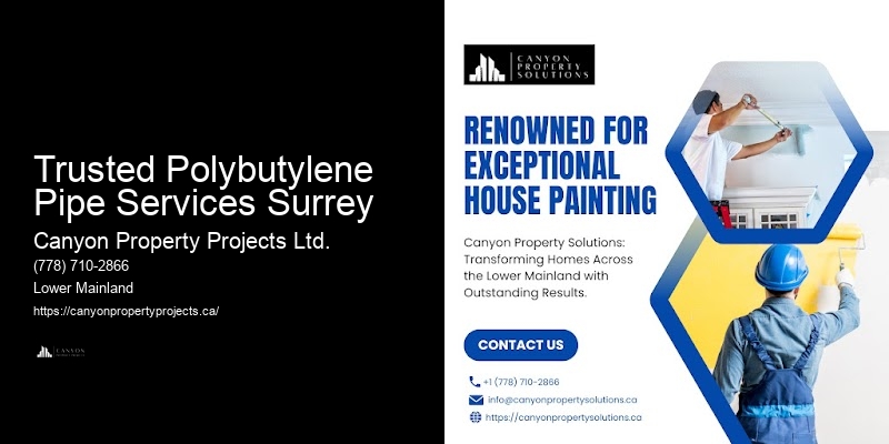 Polybutylene Pipe Inspections Trusted Polybutylene Pipe Services Surrey