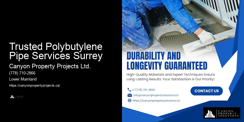 Best Practices in Polybutylene Replacement Trusted Polybutylene Pipe Services Surrey