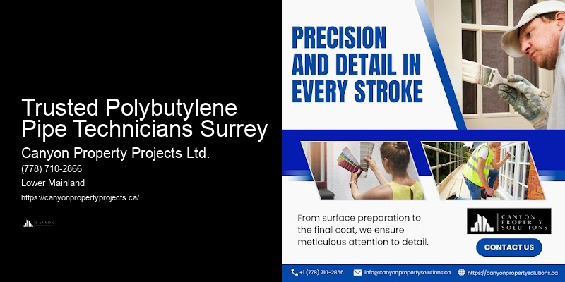 Polybutylene Pipe Upgrade Experts Trusted Polybutylene Pipe Technicians Surrey