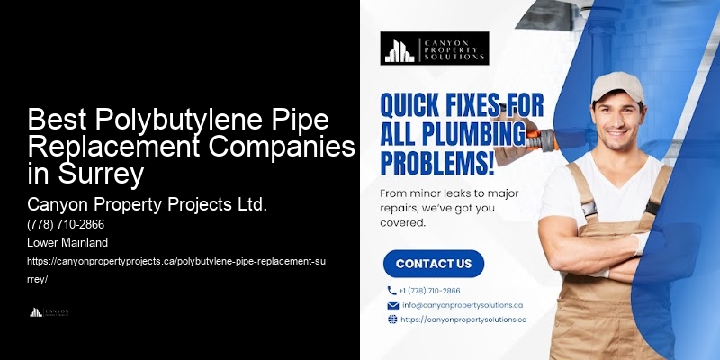 Best Polybutylene Pipe Replacement Companies in Surrey