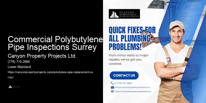 Commercial Polybutylene Pipe Inspections Surrey
