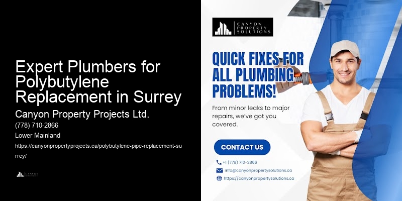 Expert Plumbers for Polybutylene Replacement in Surrey