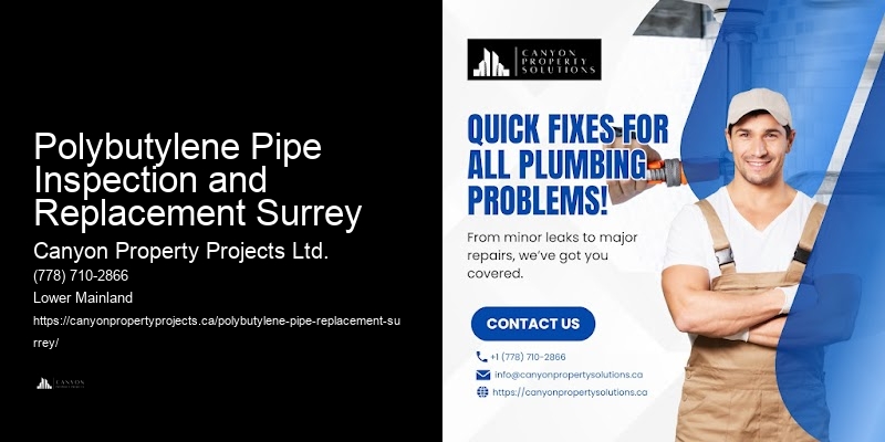 Polybutylene Pipe Inspection and Replacement Surrey