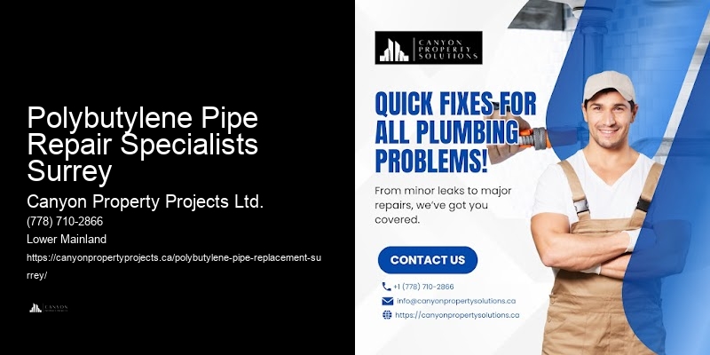 Polybutylene Pipe Repair Specialists Surrey