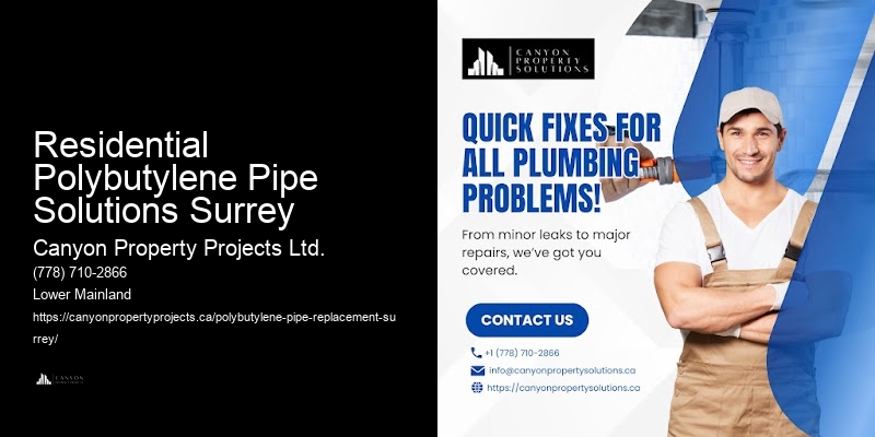 Residential Polybutylene Pipe Solutions Surrey