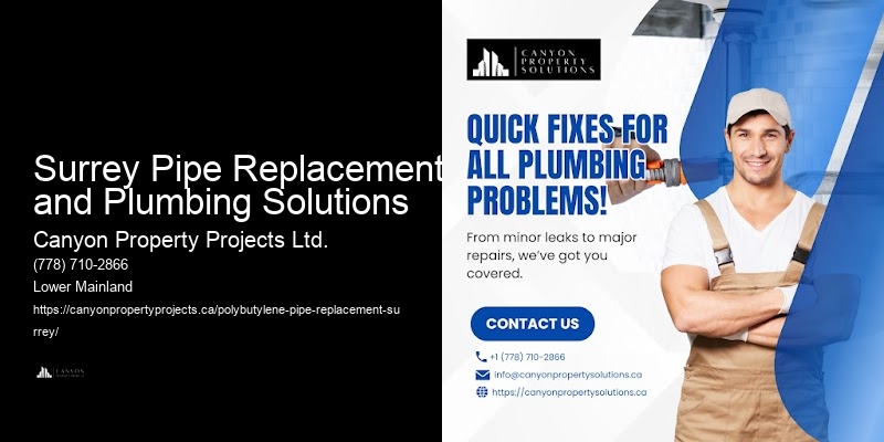 Surrey Pipe Replacement and Plumbing Solutions