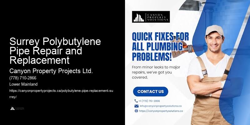 Surrey Polybutylene Pipe Repair and Replacement