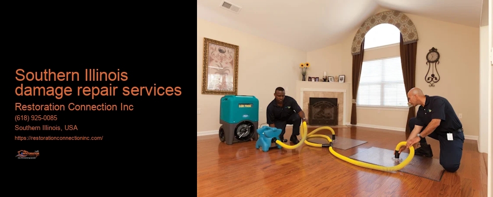Southern Illinois damage repair services