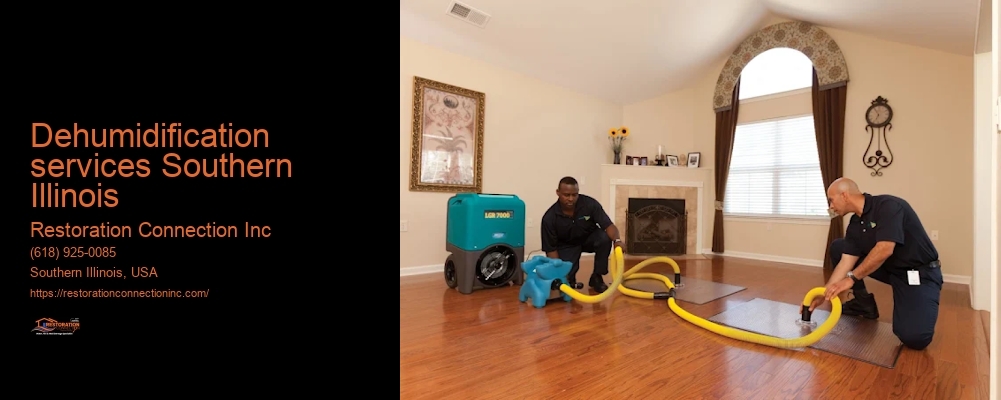 dehumidification services Southern Illinois