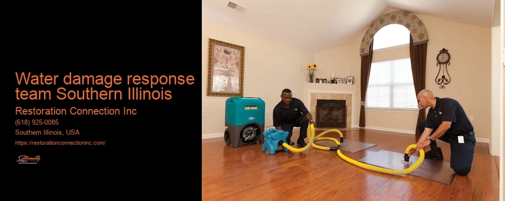 water damage response team Southern Illinois