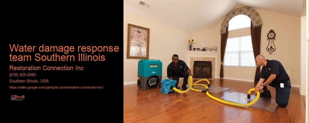 water damage response team Southern Illinois