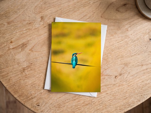 60 x A6  cards on Silk