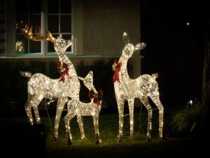 Custom LED Lighting for Residential Properties