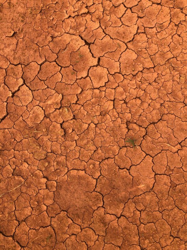 Terra X – Bild 2