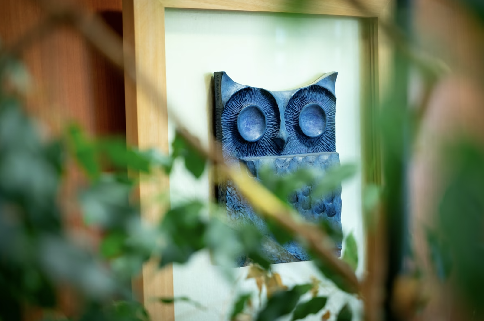 Model sove v okvirju, slikan čez rastline