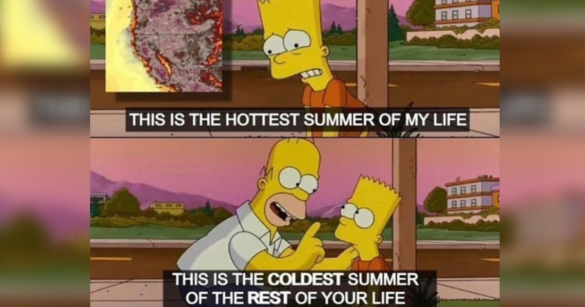 meme, v katerem Bart Simpson reče, da je to najbolj vroče poletje v njegovem življenju, Homer Simpson pa mu odgovori, da je najbolj hladno poletje v preostanku njegovega življenja