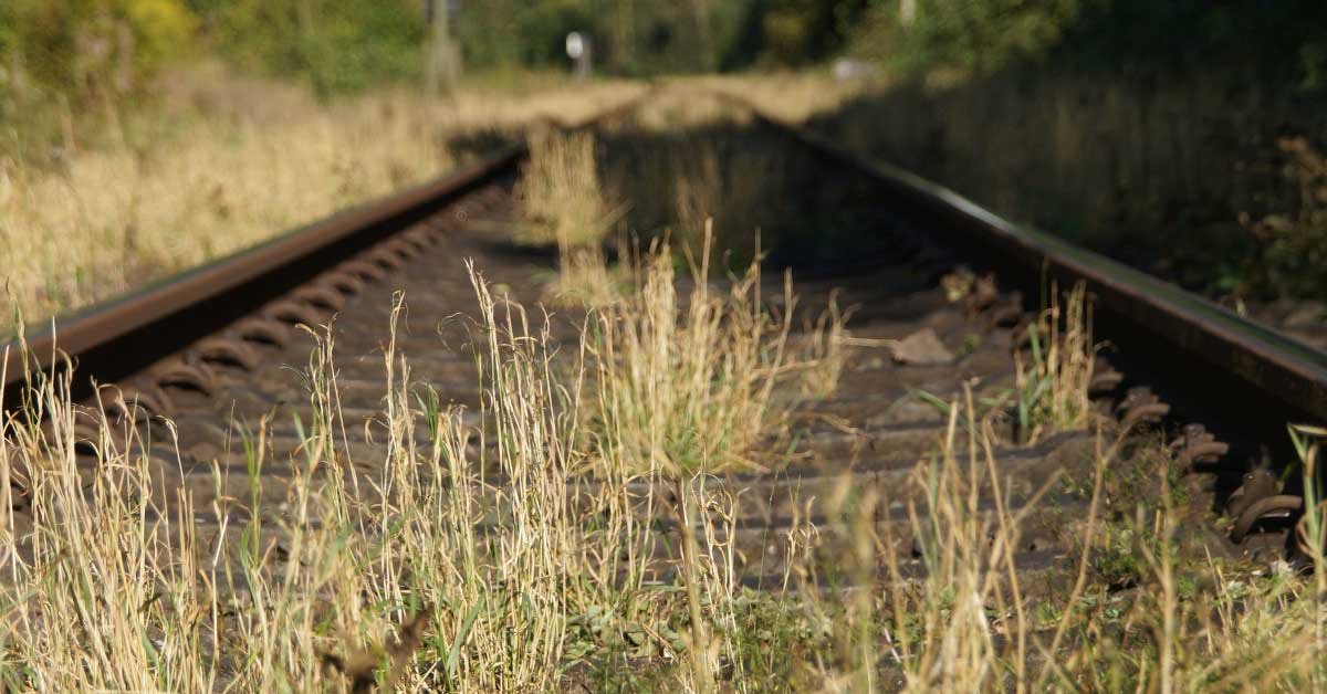 Železniški tiri preraščeni s travo.
