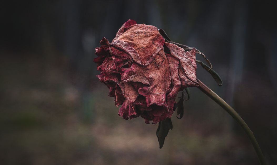 agrument-845.jpg