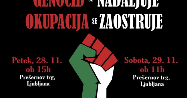 Stisnjena pest v barvah palestinske zastave, napis Genocid se nadaljuje, okupacija se zaostruje ter datuma obeh protestov (28. 11. ob 15h in 28. 11. ob 11h).