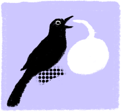 Odgovornost in transparentnost - ikona. Ptič z govornim oblačkom na viola ozadju.