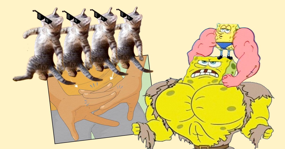 Štiri mačke z očali plešejo nad ilustracijo rok, na desni pa stojita dve mišičasti različici Spužvaboba, ena na ramenih druge.