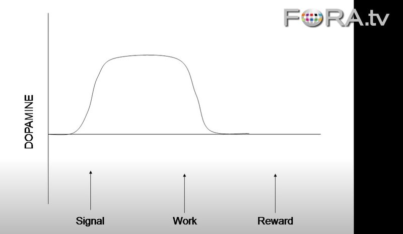 Graph from video: Dopamine Jackpot!