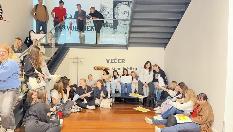 Delavnica o pravici do protesta