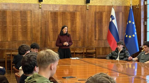 Ustavnopravni sprehajalnici