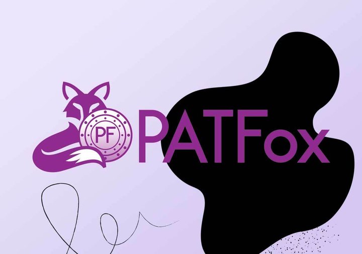 novice-patfox.jpg