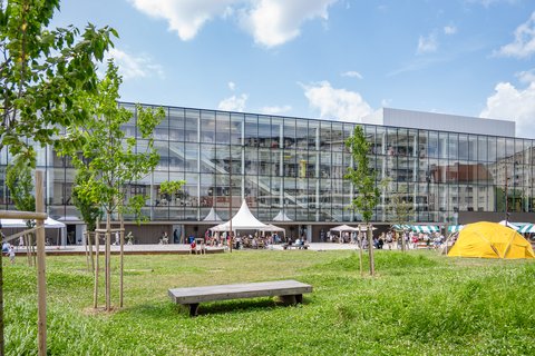 Dan_soseda_2025_foto_Megi Pilko (263)