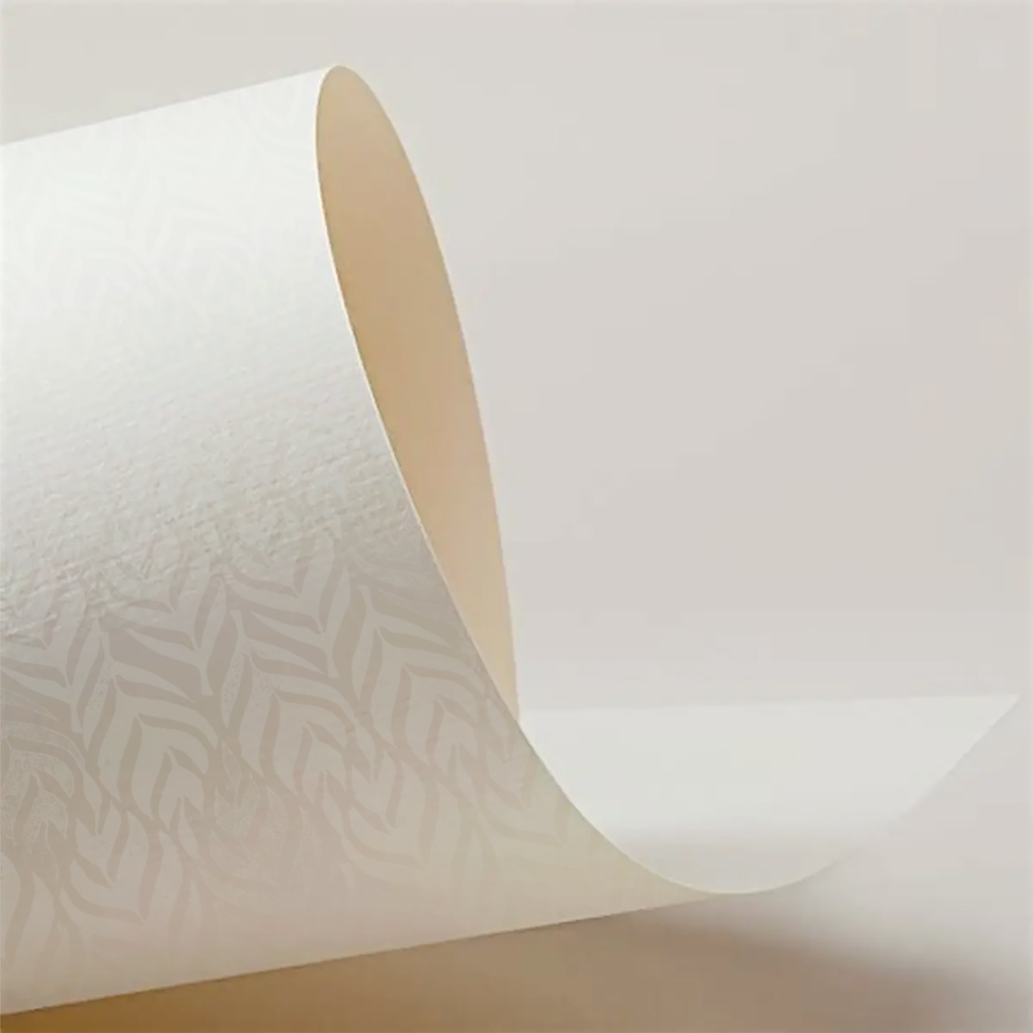 TP_Prostori image_svetel