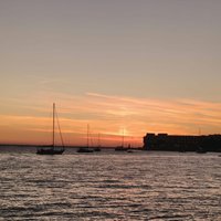 9f41040d-c73f-47e0-9b9d-9b5055af4eb8