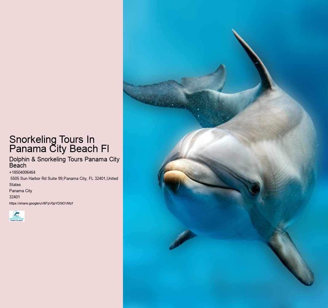 Snorkeling Tours In Panama City Beach Fl