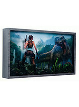 Tomb Raider Lost Valley - Shadowbox