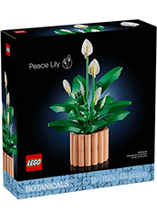 Les fleurs de lune - LEGO Botanicals 11504
