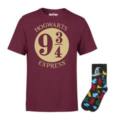 le-lot-t-shirts-harry-potter-un-ticket-plaque-or-est-en-promo