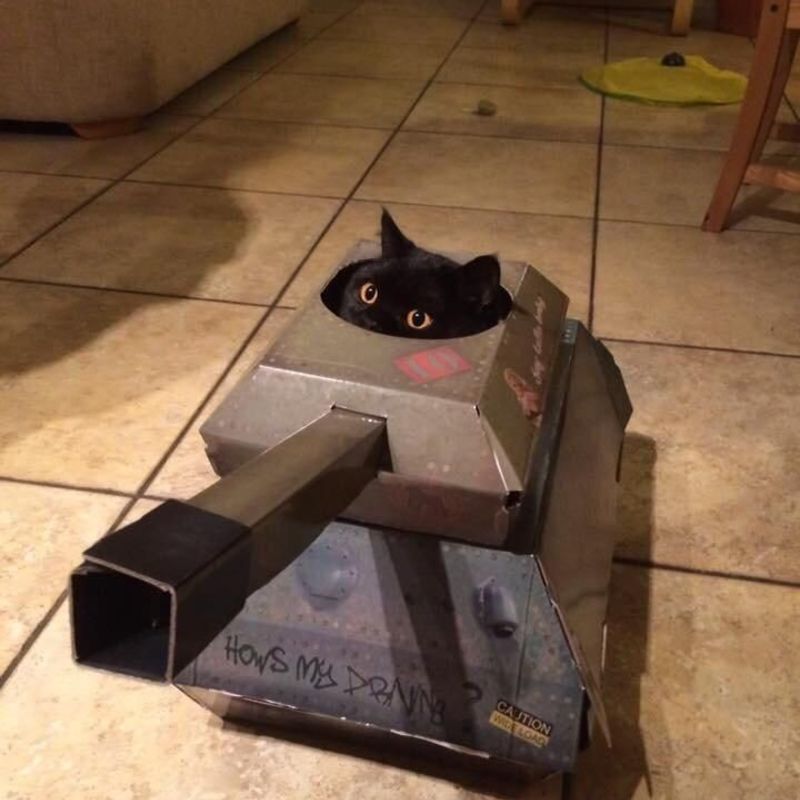 Loki