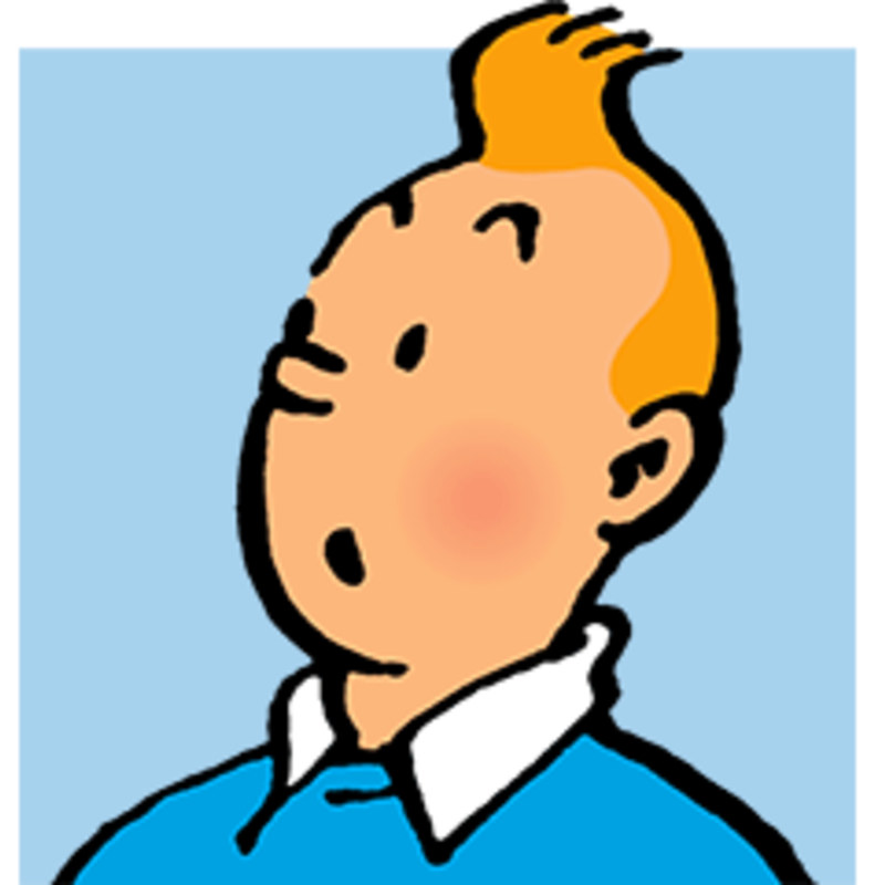 Tintinq13