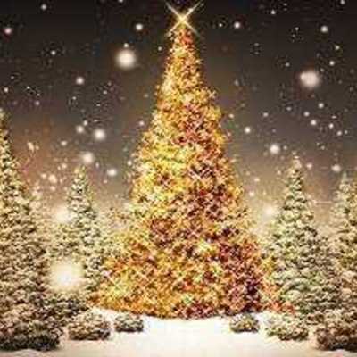 10 Tips To Job Hunt Successfully During The Holidays