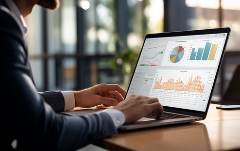 Data anlyst job description