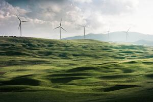 photographie d'une plaine avec un champ d'éoliennes